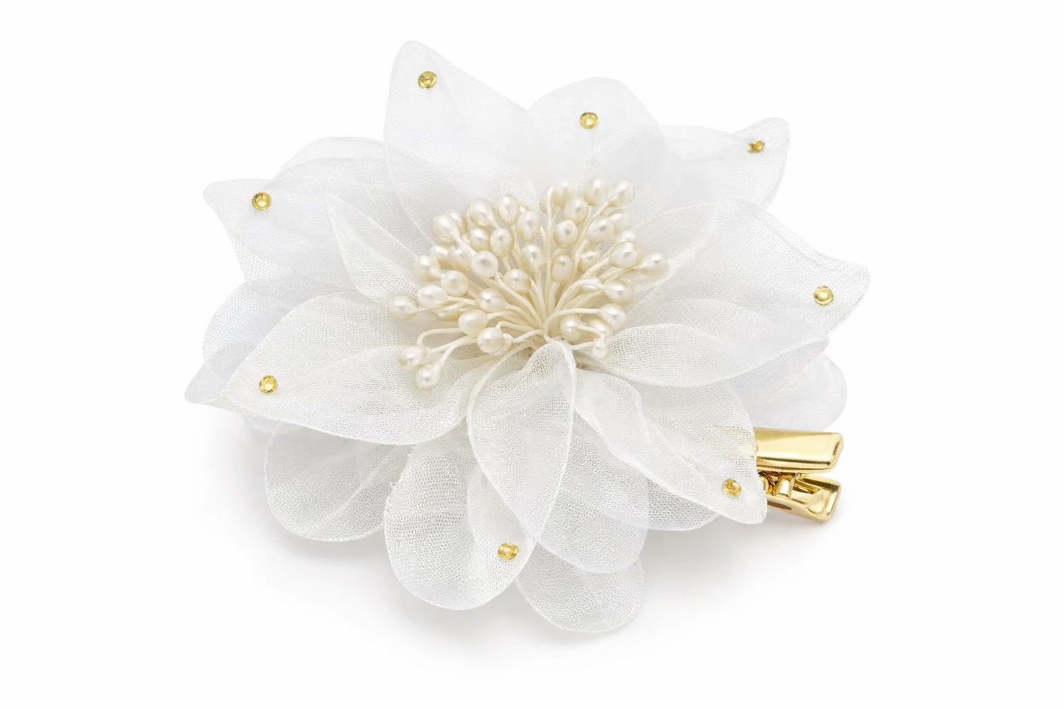 Accessoires pour Cheveux